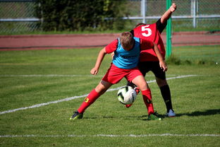 半岛体育官网-官方声明：球员福祉优先，决定退赛，球员退役发福  第2张